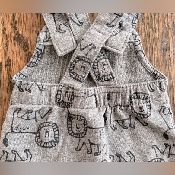 EUC Carter's 2-Piece Lion Print Tee & Overall Set - Gray/Burnt Orange - Newborn - Picture 13 of 16